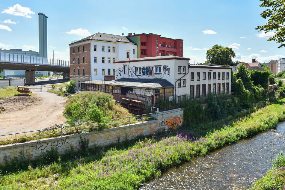 Die Weißeritz auf Höhe der Nossener Brücke: Der Grünzug soll perspektivisch direkt am Wasser verlaufen. Die Bebauung käme, wenn möglich, weg.