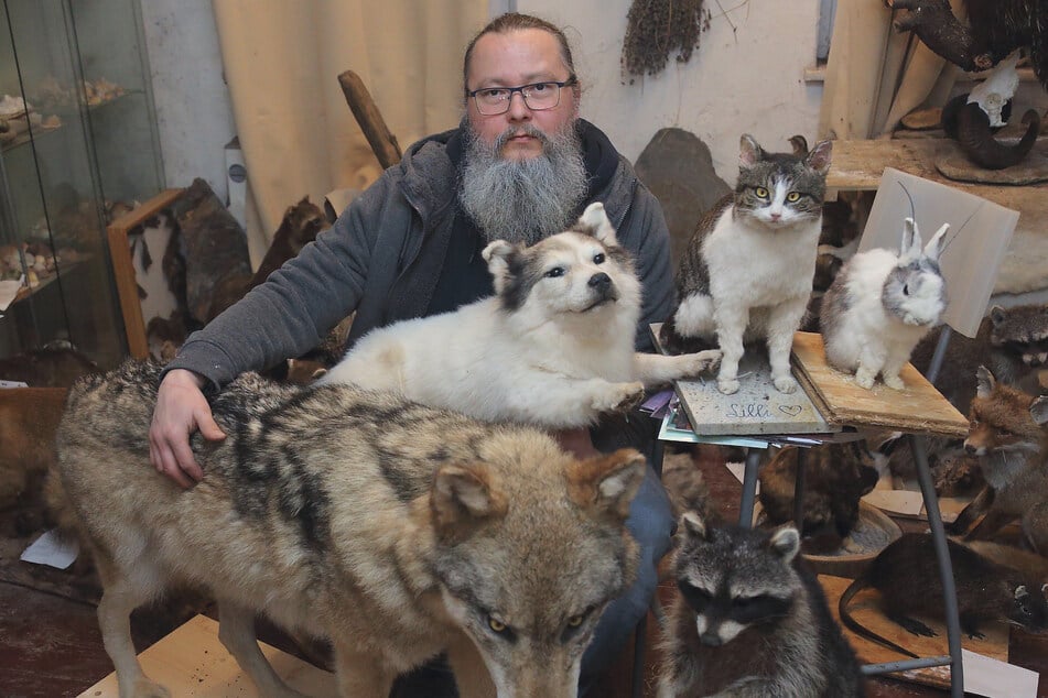 Tierpräparator Michael Roth (46) im Atelier mit seinen Tieren.