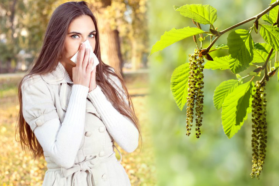 Frühlingswetter in Deutschland: Achtung Allergiker, diese Pollen fliegen schon jetzt!