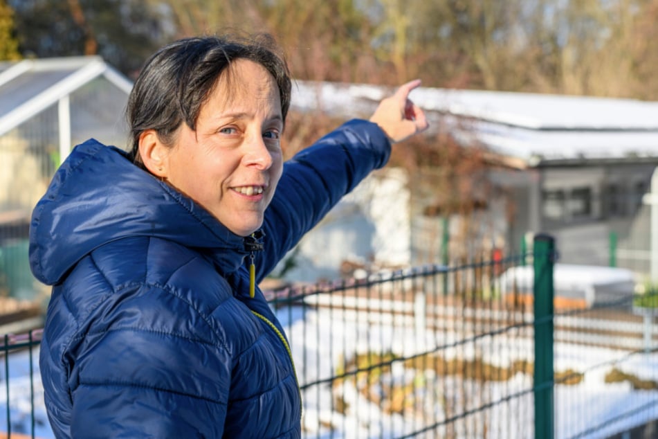 Dieses Tierheim in Sachsen hat Sonnen-Sorgen