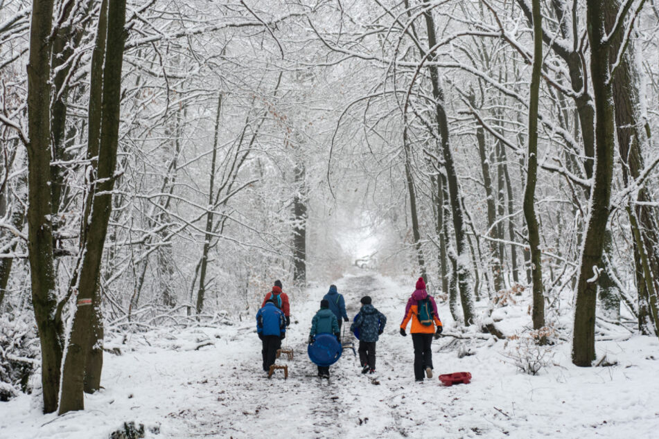Drei Erwachsene und drei Kinder ziehen ihre Schlitten durch den winterlichen Wald bergauf.