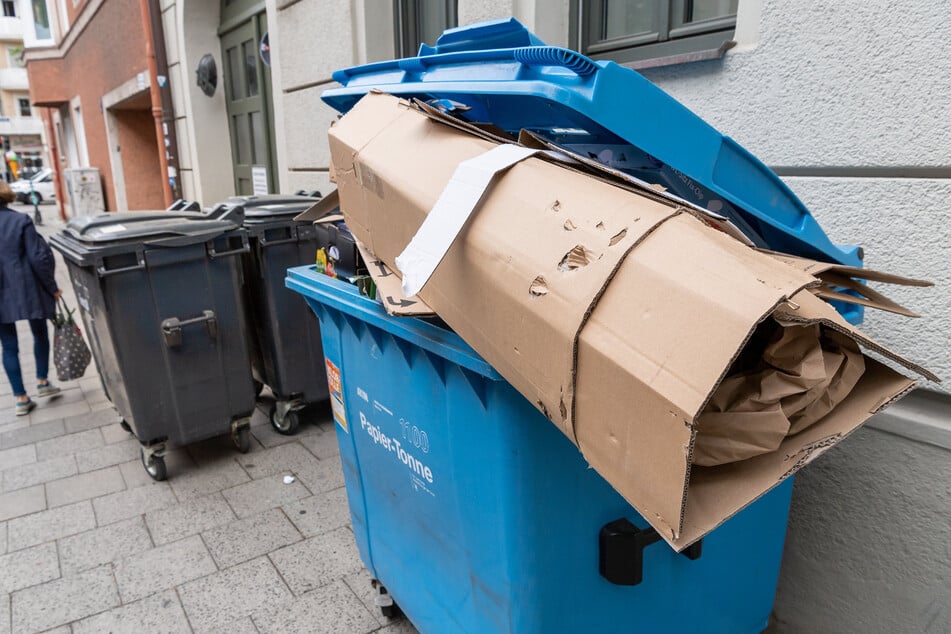 Müllcontainer im Magdeburger Norden brennt lichterloh: Polizei sucht Zeugen