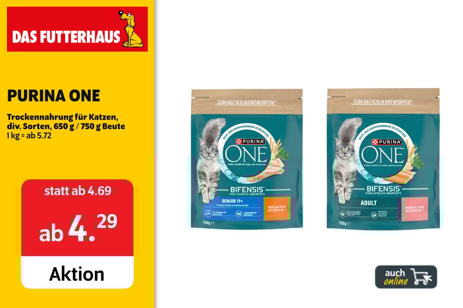 PURINA ONE Trockennahrung für Katzen