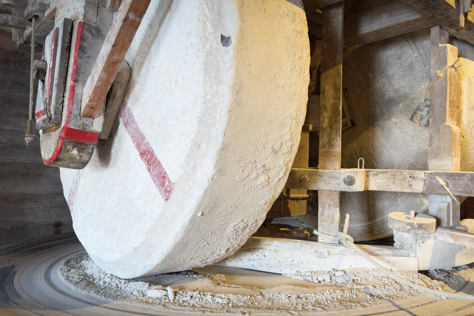 Historische Technik voll intakt: Im Mühlenmuseum wird Korn zu Mehl gemahlen.