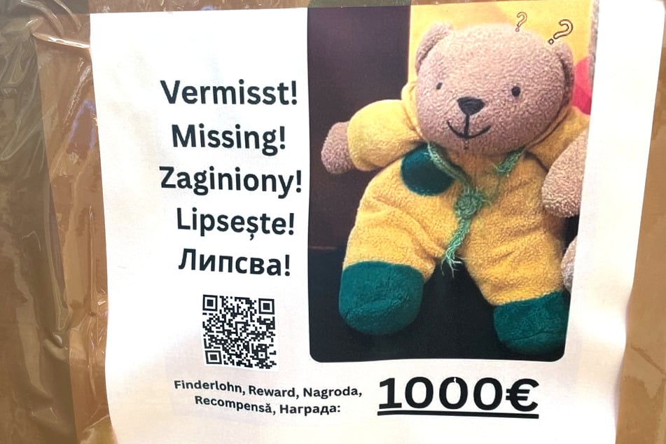 Berlin: Kein Witz: Wer diesen Teddybären findet, bekommt 1000 Euro Finderlohn