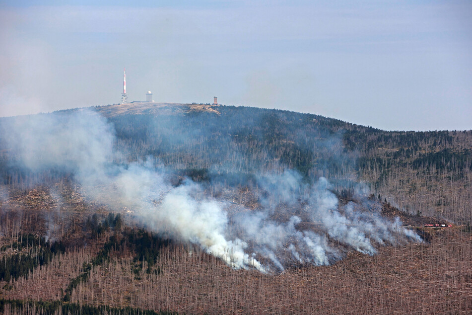 Der Waldbrand im Harz war bereits am Freitag ausgebrochen.