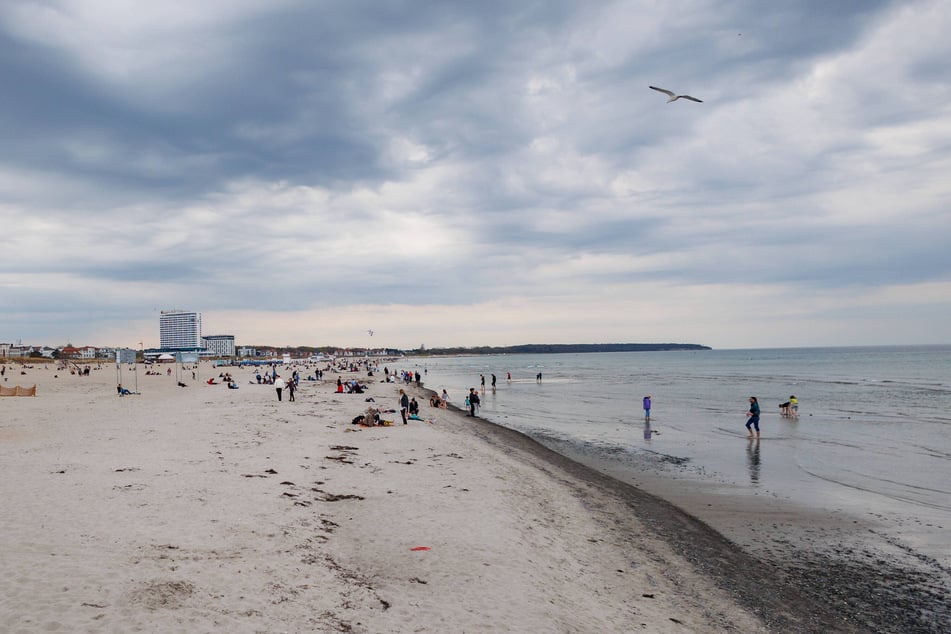 Am Ostseestrand werden Hansas Kicker dieser Tage morgens entlangjoggen.