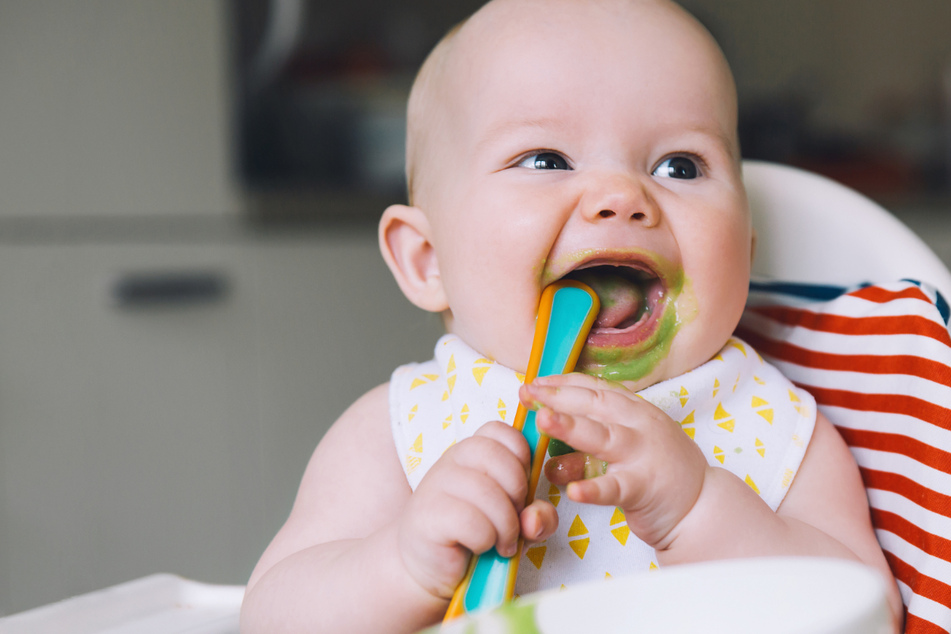 Wie riechen Babys? Dresdner Forscherinnen untersuchen Duft von Kleinkindern