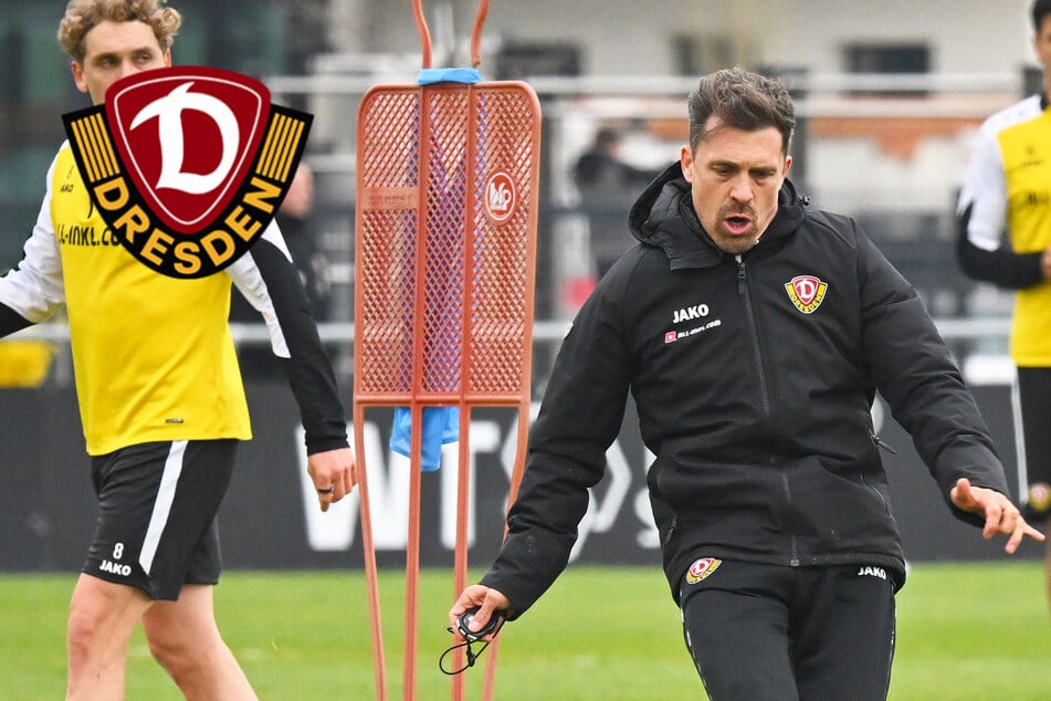 Nur zwei waren länger da als er! Dynamo-Coach Stamm schon jetzt in den Top 3