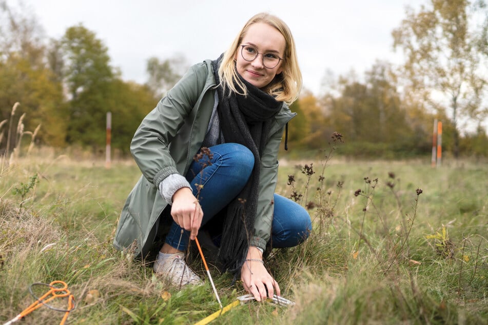 Studiengang im Bereich Natur- und Umweltwissenschaften