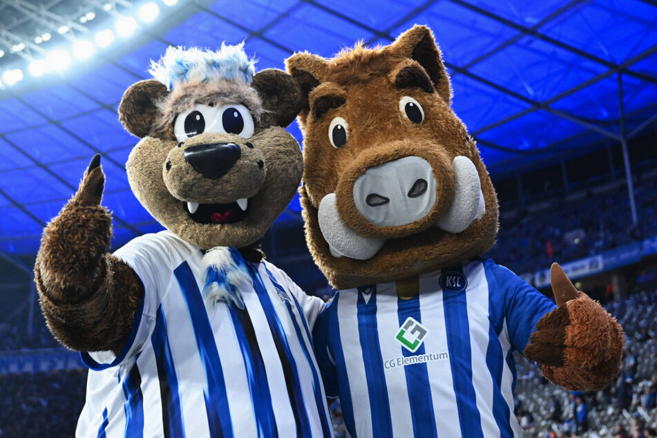 Ein Bild, das mehr als Tausend Worte sagt: Die Maskottchen Herthinho (l.) und Willi Wildpark feiern gemeinsam mit fast 60.000 Fans die Freundschaft von Hertha BSC und KSC.