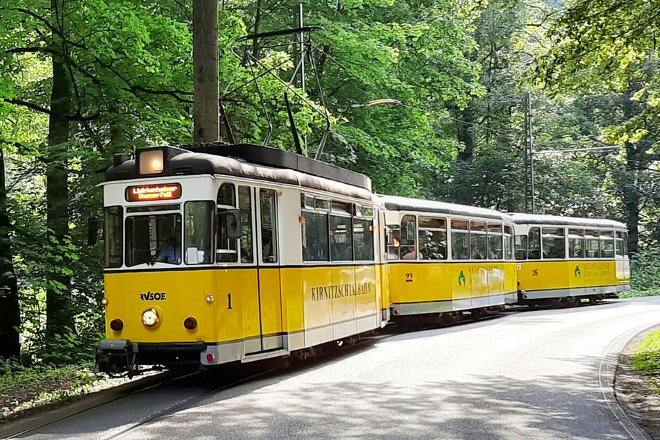 Die Kirnitzschtalbahn (Dreiwagenzug) Richtung Lichtenhainer Wasserfall