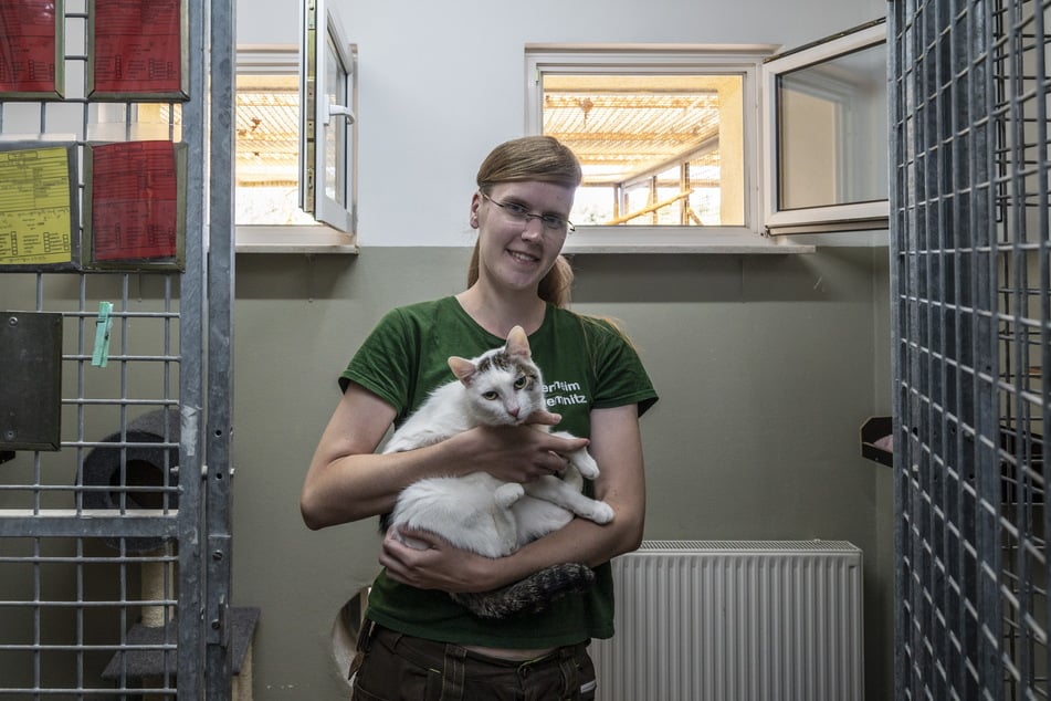 Tierpflegerin Vanessa Haasper (28) mit einer Katze im Chemnitzer Tierheim.