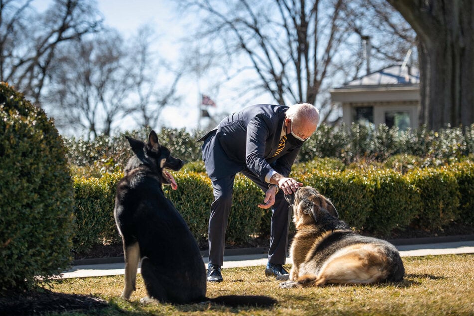 President Joe Biden is happy to have his dogs back with him at the White House.