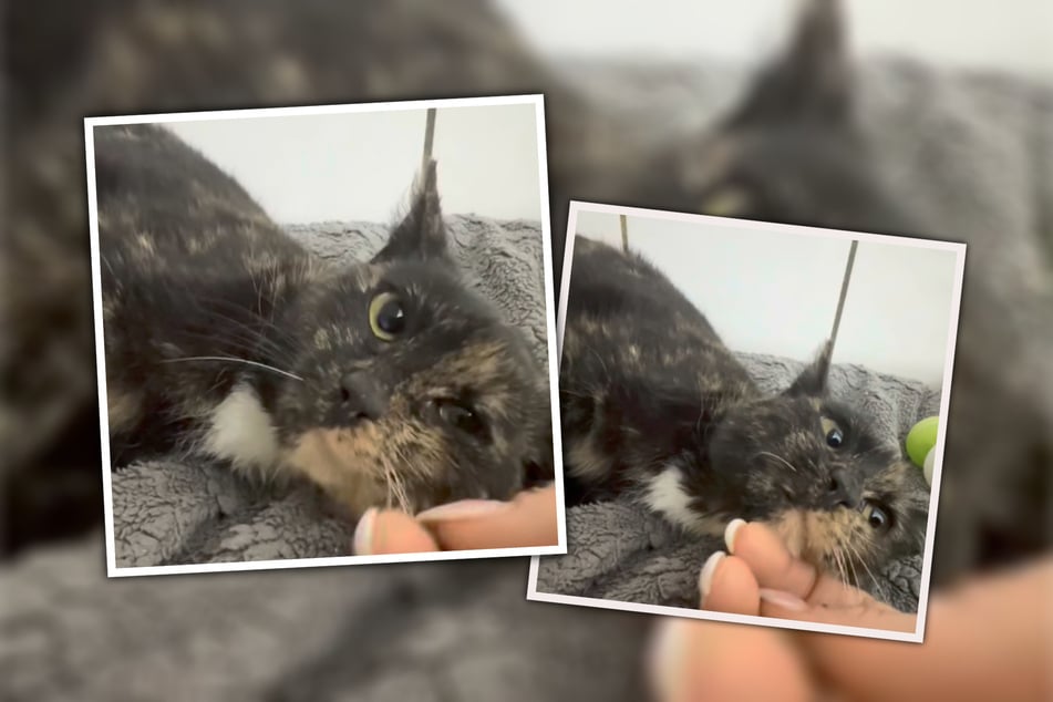 A Tessa desea un hogar donde pueda desconectar y relajarse.