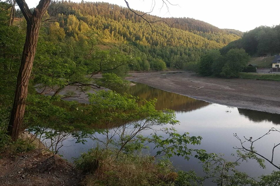 Die Rur bei Einruhr am Nationalpark Eifel Ende Mai 2020.