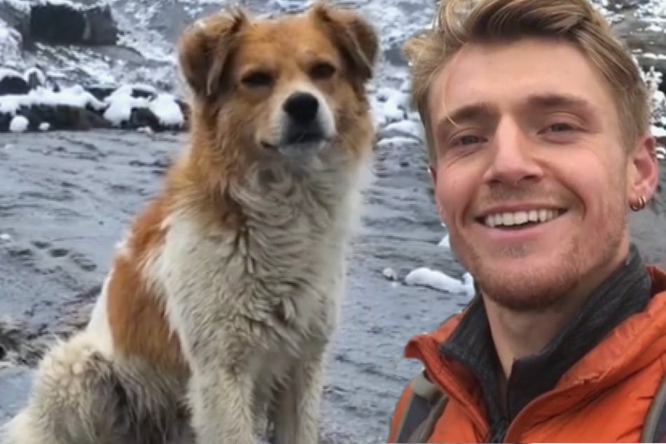 A British tourist got lost in the dense fog of the Peruvian mountains, but an unexpected encounter with a friendly dog helped him find his way back to safety.