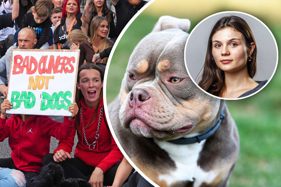 Verbot der XL Bullys: Nachhaltige Ursachen-Bekämpfung von Hundeangriffen sieht anders aus