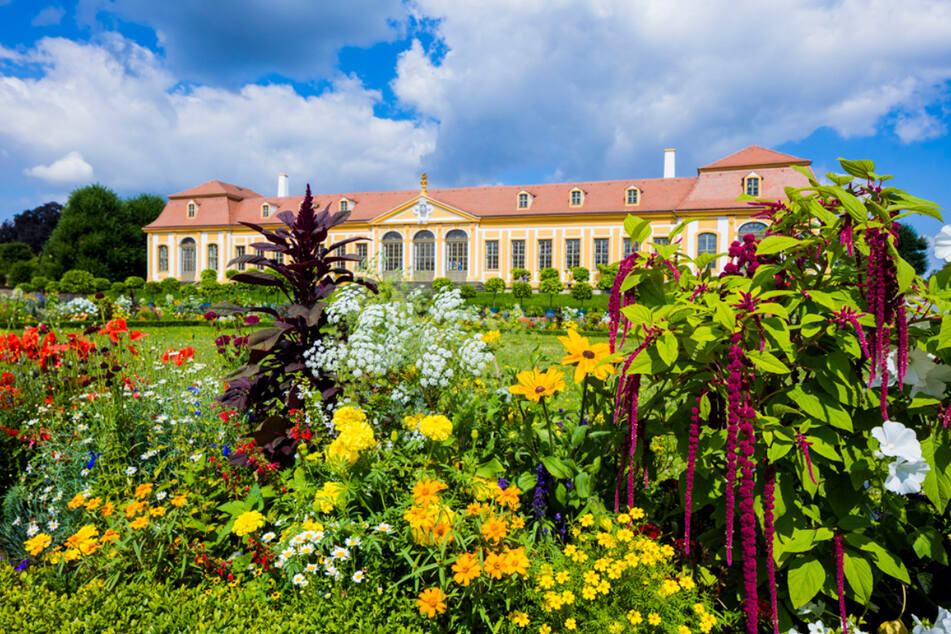 Im Barockgarten Großsedlitz gibt es so einiges zu entdecken.