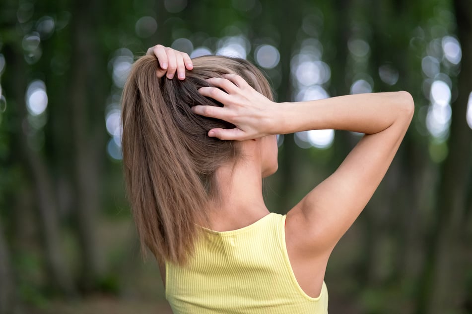 Zu Berechnung der Haardichte misst man den Umfang eines Zopfes.