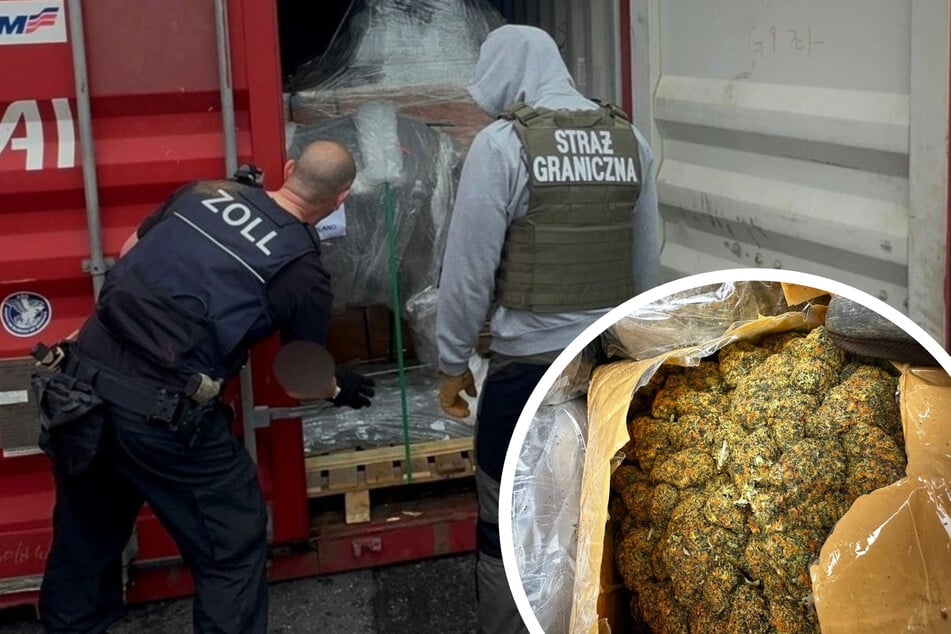 In Hafen versteckt: Drogen im Wert von zwölf Millionen Euro entdeckt