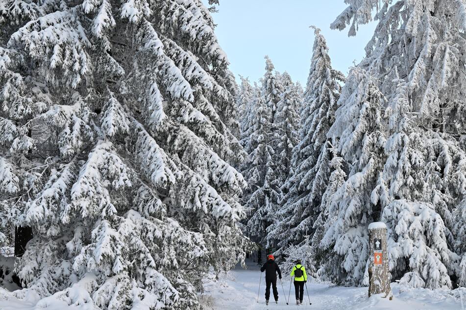 Dieser Winter ist der kälteste seit zwölf Jahren und könnte Deutschland weiße Weihnachten bescheren.