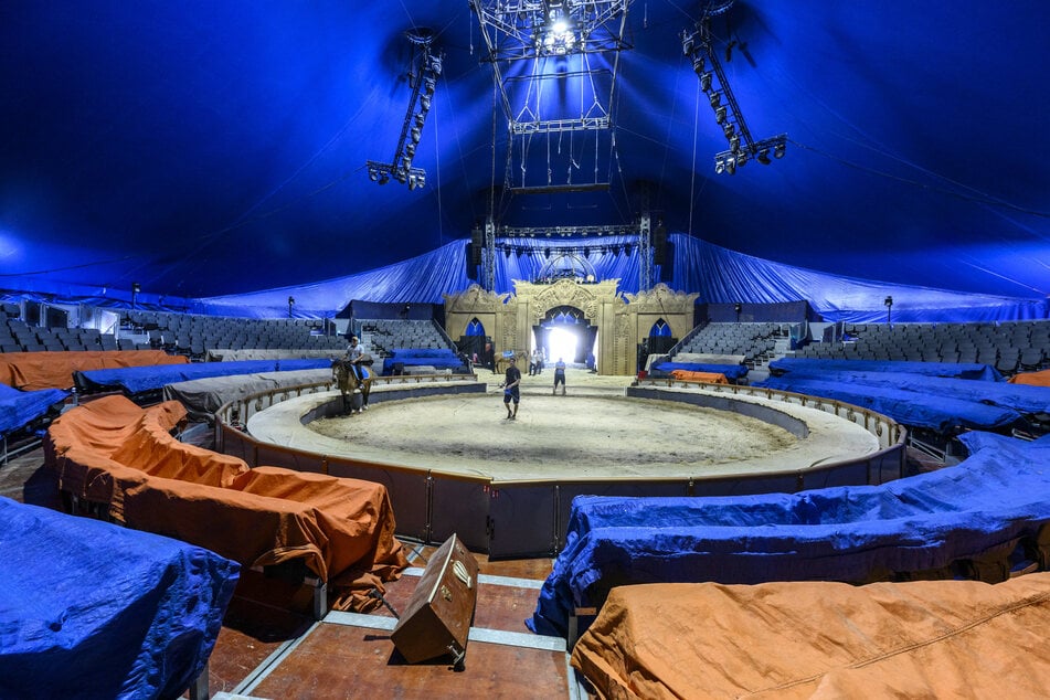 Vor jeder Vorstellung läuft Hans-Ludwig Suppmeier die Pferde warm und bereitet sie so auf ihren Auftritt vor.
