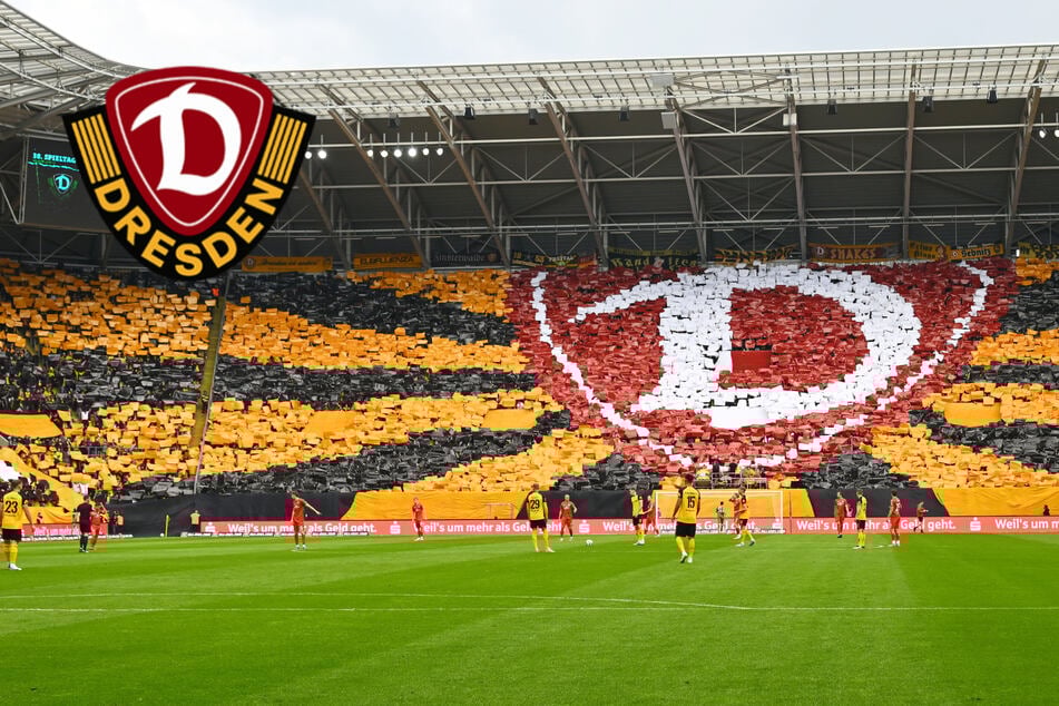 Dynamo-Dresden-Blog: Diese Neuerungen gibt es jetzt im Rudolf-Harbig-Stadion