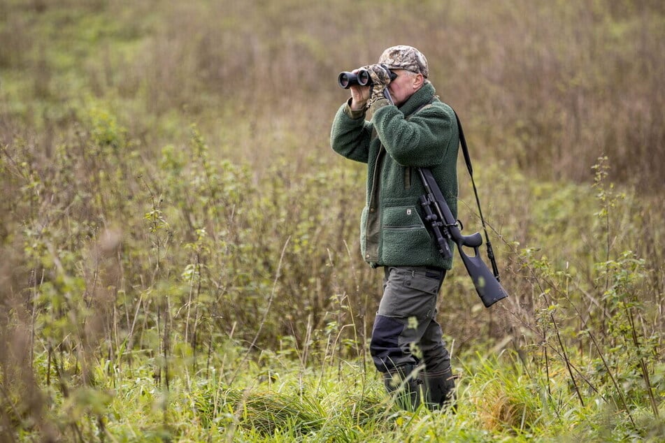 Jäger sind sei drei Jahren dazu angehalten, in den Schutzkorridoren die Schwarzwilddichte auf 2 Stück pro 1 000 Hektar zu reduzieren.