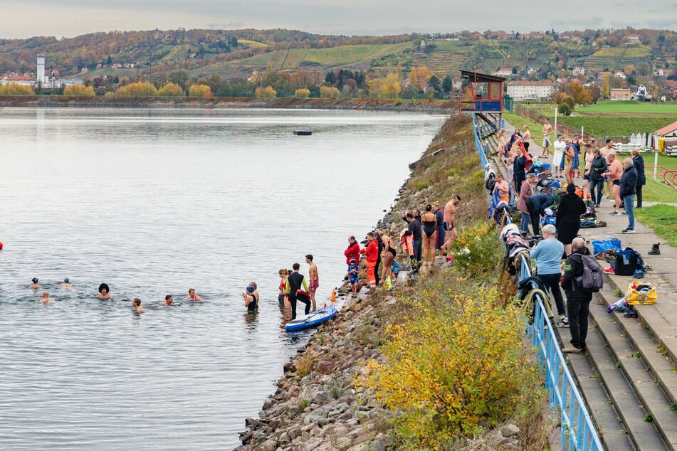Dresden: Herbstschwimmen bei 13 Grad Wassertemperatur