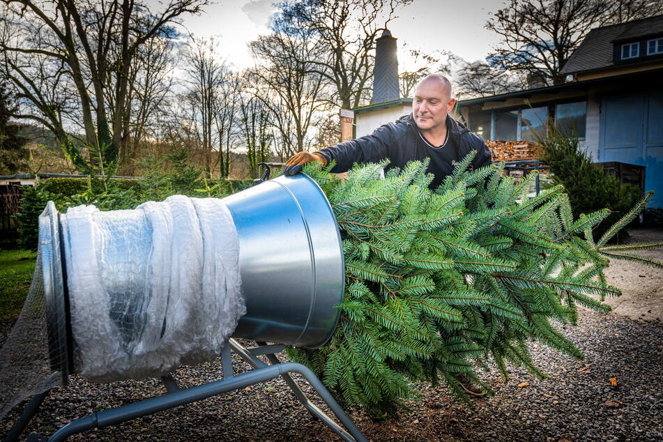 Bei Gastronom Uwe Müller (51) kann man seinen Weihnachtsbaum auch handlich verpacken lassen.