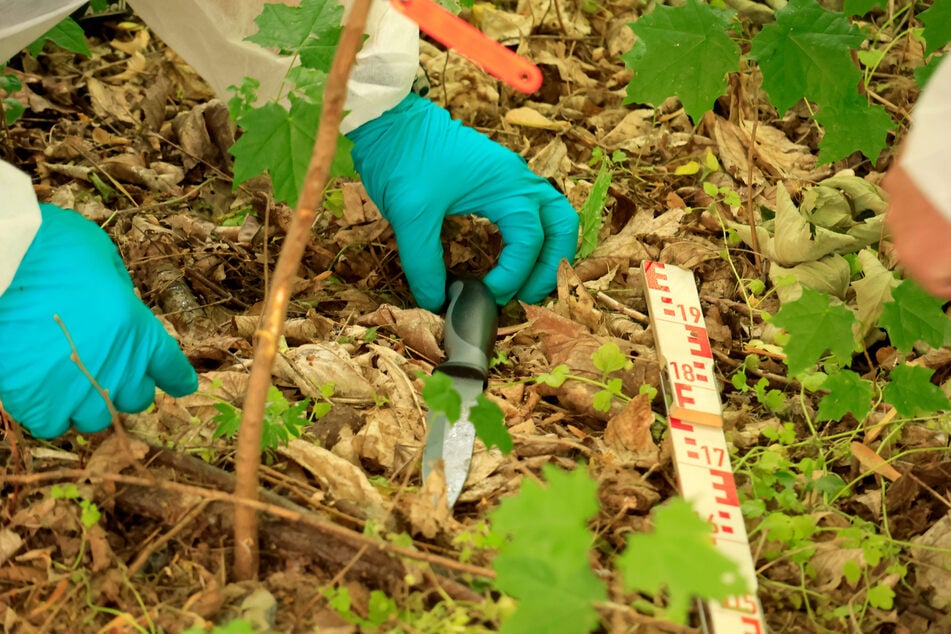 In Wohnblock-Nähe wurde ein Messer gefunden – ob es die Tatwaffe war, wird geprüft.