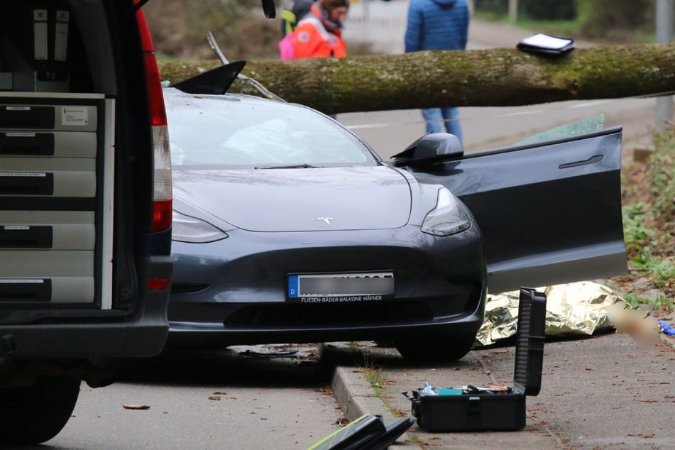 Ein Baum stürzte direkt auf das Dach des Tesla.
