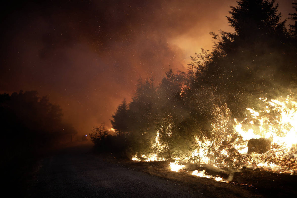 Bereits im vergangenen Jahr wurde Portugal von verheerenden Waldbränden heimgesucht. In diesem Sommer droht Ähnliches.