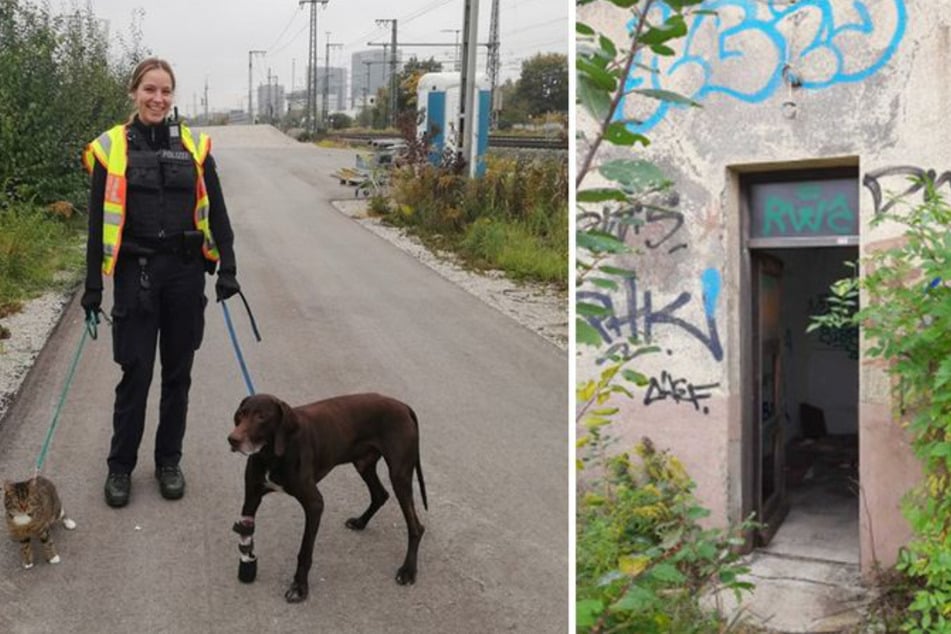 Tiere in verdrecktem Raum zurückgelassen: Polizei rettet Hund und Katze
