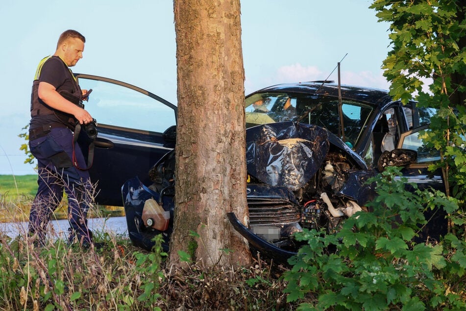 Der Motorraum des Ford Fiesta ist nach der Kollision mit dem Baum völlig deformiert.