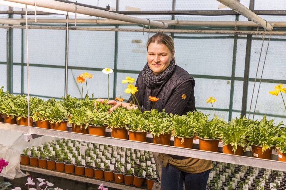 Gärtnerin Marlen Müller (40) kümmert sich um verschiedene Mohnarten.