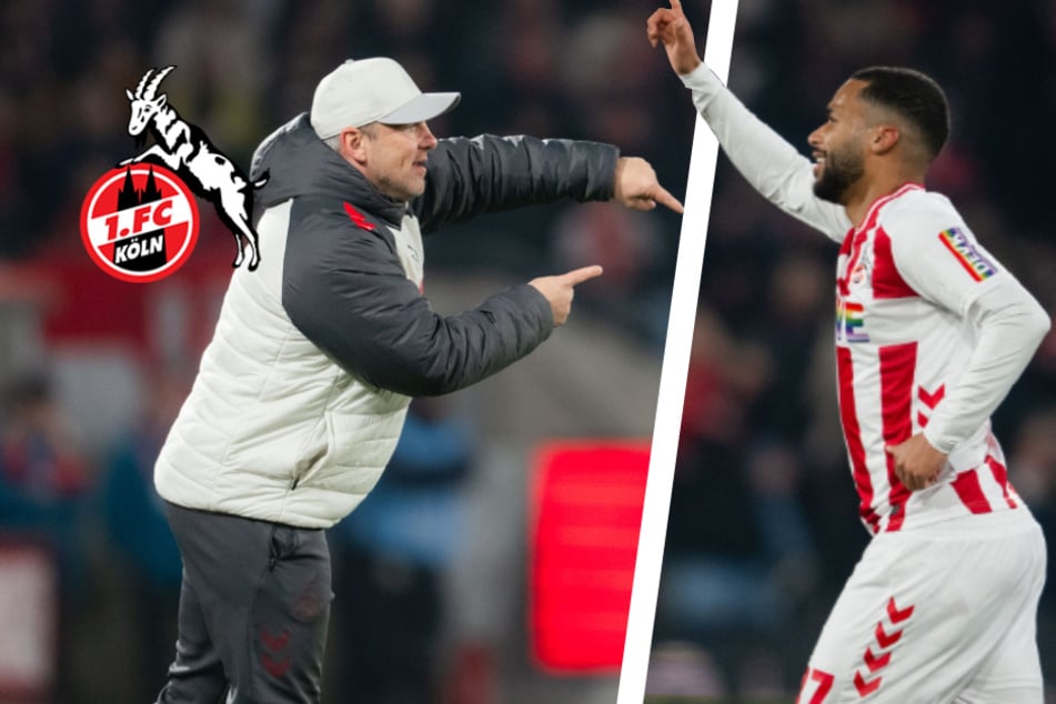 Wichtiger Sieg gegen VfL! Matchwinner Maina lässt 1. FC Köln jubeln