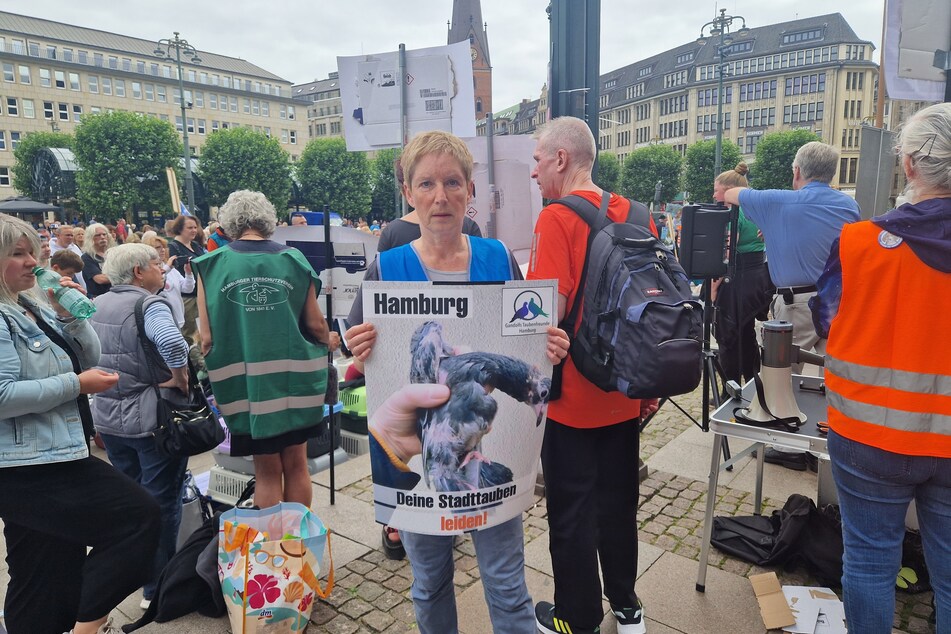 "Momentan schiebt die Justizbehörde die Verantwortung für die Taubenschläge in die Bezirke, wir brauchen aber eine Tierschutzbeauftragte auf Senatsebene, die das ganze für ganz Hamburg koordiniert", so Susanne Gentzsch von "Gandolfs Taubenfreunde".