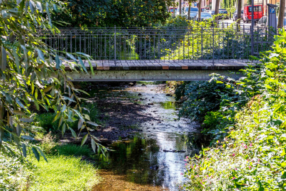 Die Prießnitz führt kaum noch Wasser. Wasser schöpfen, selbst mit kleinen Gefäßen, ist verboten.