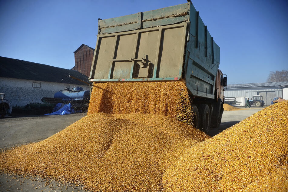 Die Europäische Union muss nach Ansicht von EU-Agrarkommissar Janusz Wojciechowski (68) Getreideimporte aus der Ukraine länger einschränken.