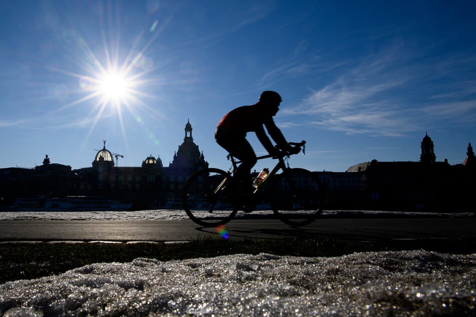 Ein Radfahrer fährt bei Sonnenschein auf dem Elberadweg in Dresden.