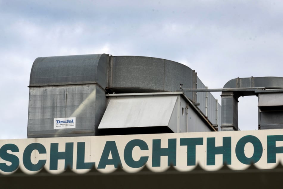 In diesem Schlachthof kam es zu den mutmaßlichen Tierschutzverstößen.