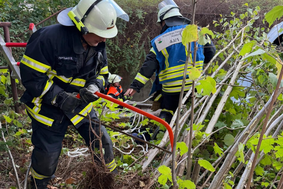 Auch um das Bachbett herum gab es für die Feuerwehrkräfte im Rahmen des Einsatzes viel zu tun.