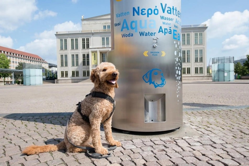 Die Trinkbrunnen bieten eine kurze Erfrischung für Menschenund auch für Tiere.