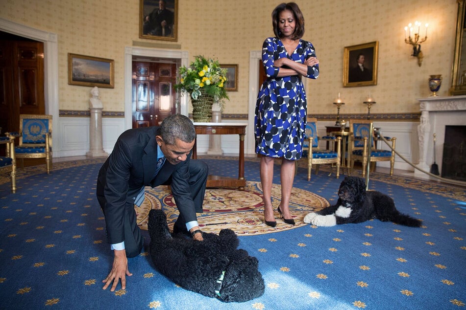 Ex-Präsident Barack Obama (65, l.) spielt mit Hündin Sunny (†13) im Weißen Haus. First Lady Michelle (62, r.) und Rüde "Bo" (†13) schauen zu. (Archivfoto)
