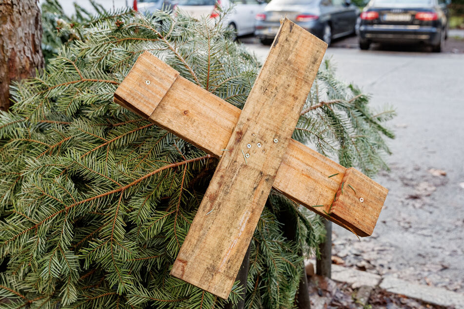 Ein ausgedienter Weihnachtsbaum liegt auf der Straße. Bei einer Entsorgung in Mittelfranken wurde ein Passant verletzt.