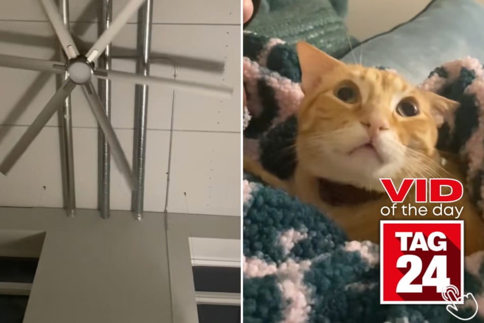 Today's Viral Video of the Day shows an orange fluffy cat facing his worst nightmare, which happens to be an extremely large metal ceiling fan.