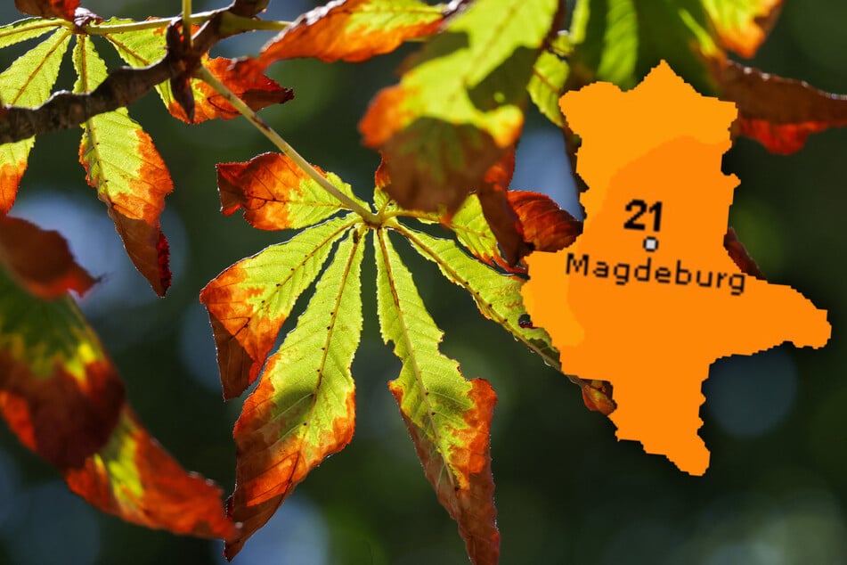 Das Wochenende in Sachsen-Anhalt wird herbstlich.