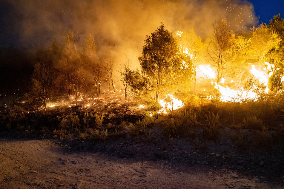 Die schweren (Wald-)Brände wüten in Spanien nun seit bereits etwa zehn Tagen.